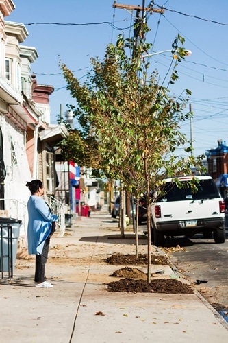 NJ Tree Foundation is changing New Jersey streets one tree at a time.