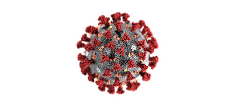 Coronavirus