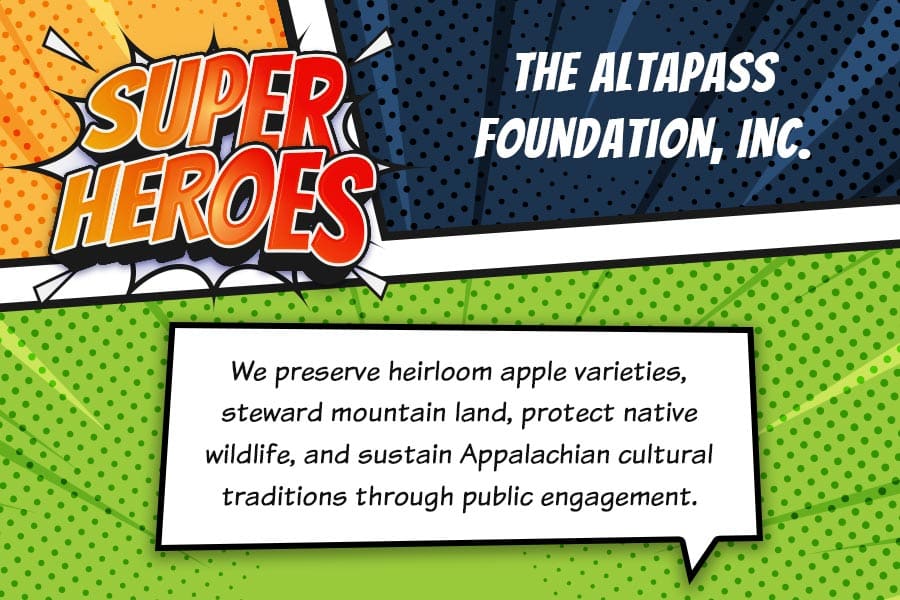The Altapass Foundation, Inc. superhero